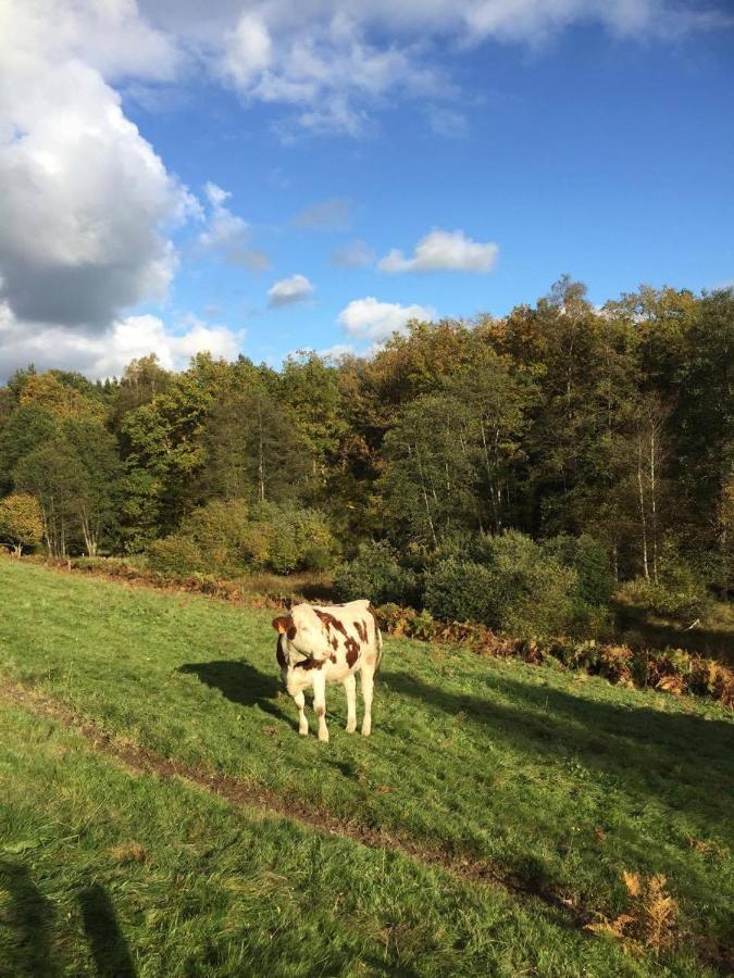 Home Sweet Home Ardennais Weismes Exterior foto